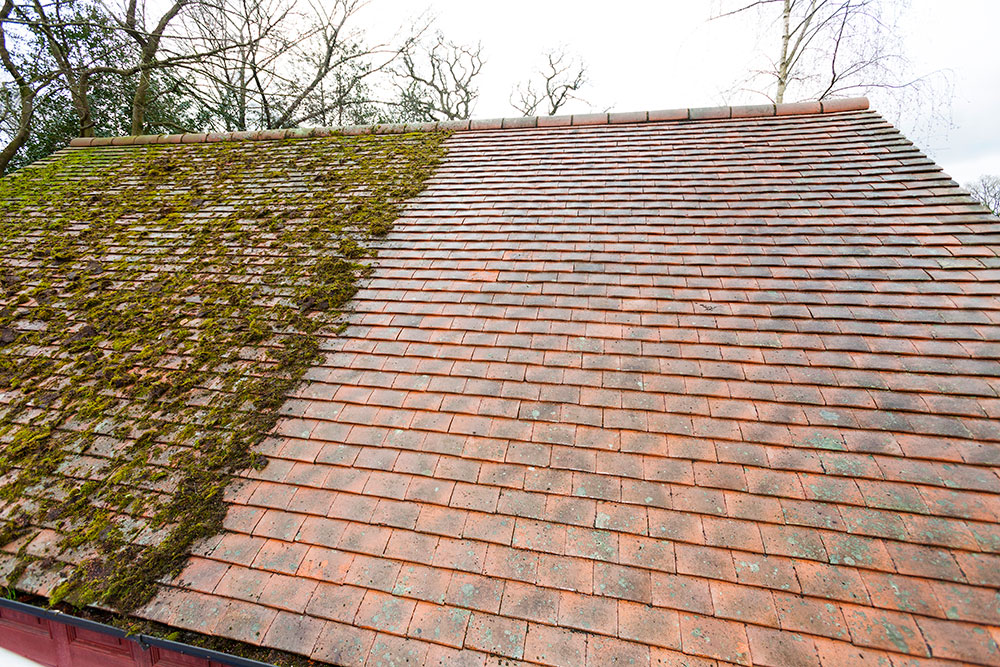 Rediscover the Brilliance of Your Property with Surrey Roof Cleaning